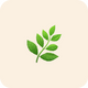 KSM-66® Ashwagandha