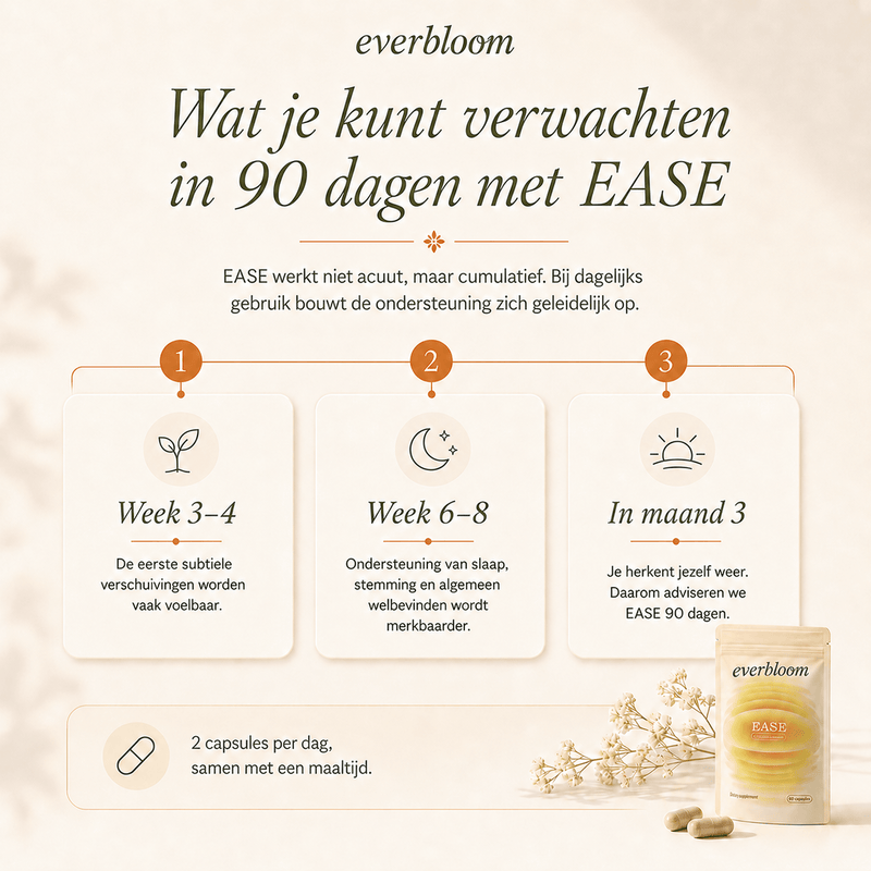 img_dutch